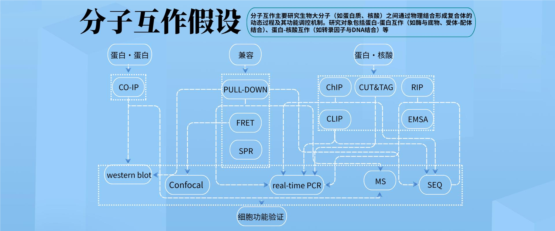 分子互作專(zhuān)題