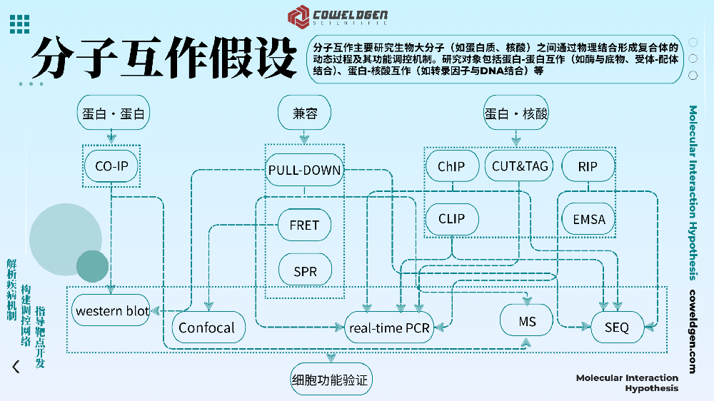 分子互作專(zhuān)題